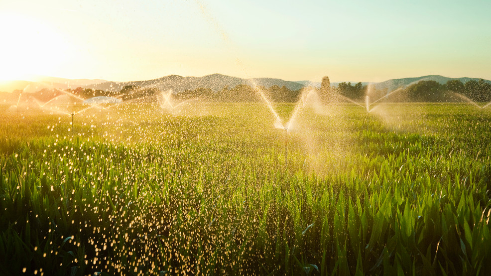 Water’s crucial role in shaping Texas’ economy and environment