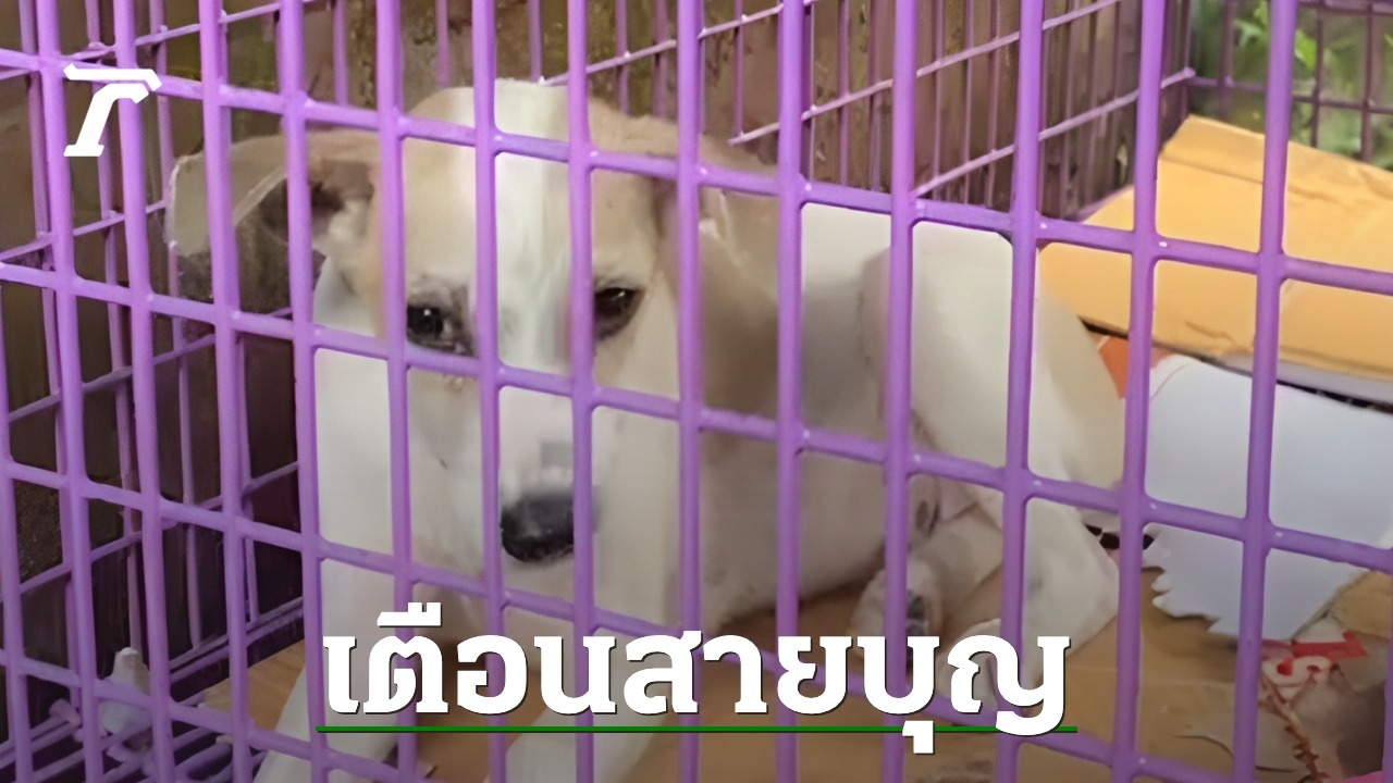 แจ้งเตือนคนไปทำบุญ “สำนักสงฆ์บ้านท่าท้อน” ถูกสุนัขกัด แนะปรึกษาแพทย์ด่วน