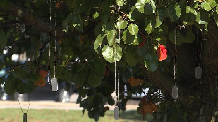 NKY city honors veterans and shines light on military mental health