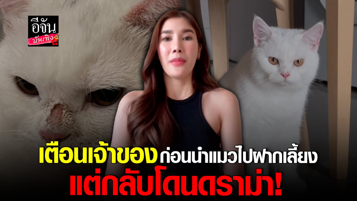 🎬 คลิปบันเทิง : กรุ๊ป ทมิตา เตือนคนเลี้ยงแมว แต่กลับโดนดราม่า