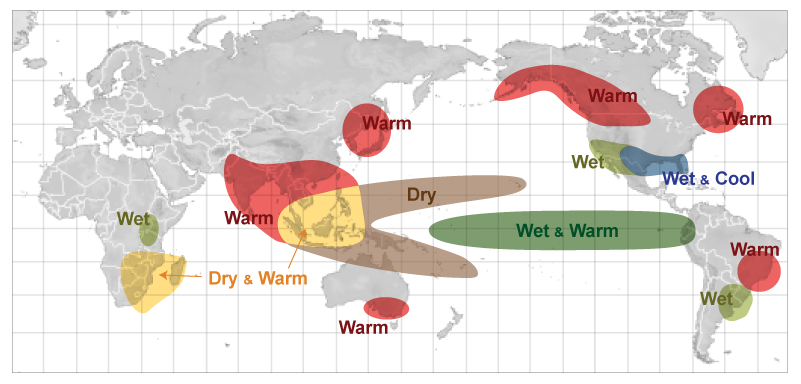 El Niño: Economic devastation and how it intersects with climate change