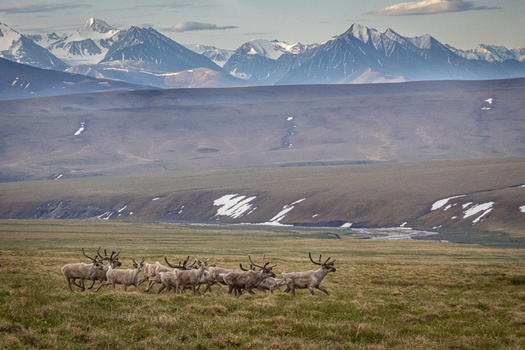 Opposition grows to major road project in AK’s iconic Brooks Range