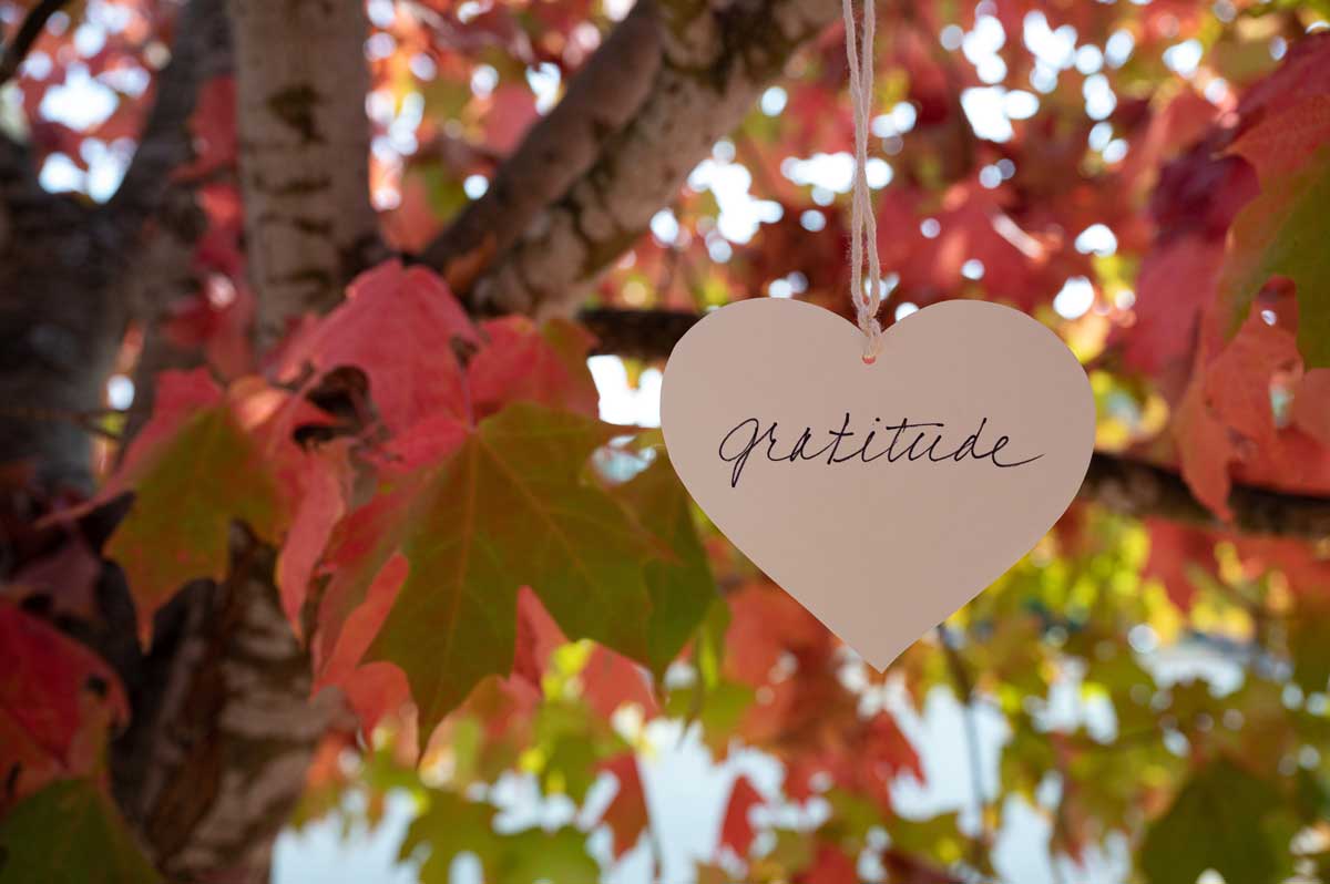 Nutrition Knowledge – Health benefits of gratitude