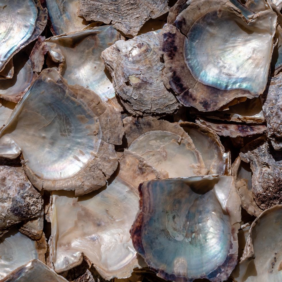 Everything You Need to Know About Buying and Caring for Mother of Pearl