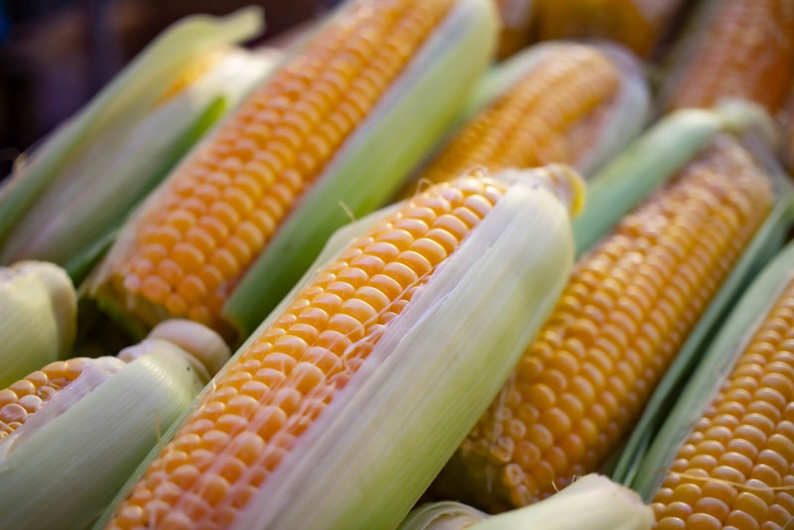 Best Ways To Cook Corn: Top 7 Methods Most Recommended By Experts