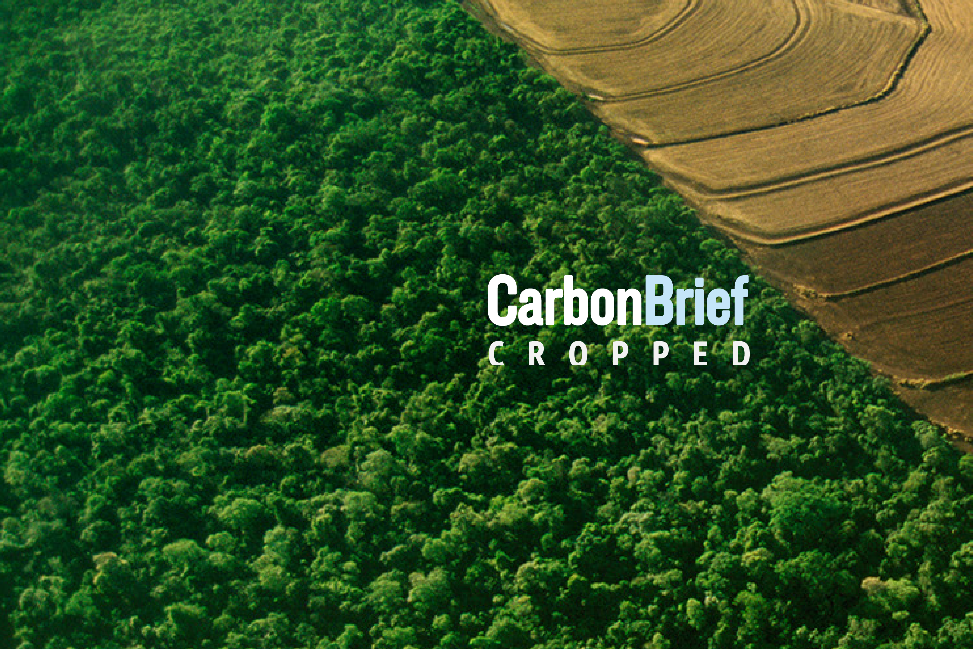 Cropped 22 November 2023: COP28 curtain-raiser; Food security fear; Dust, bugs and ice