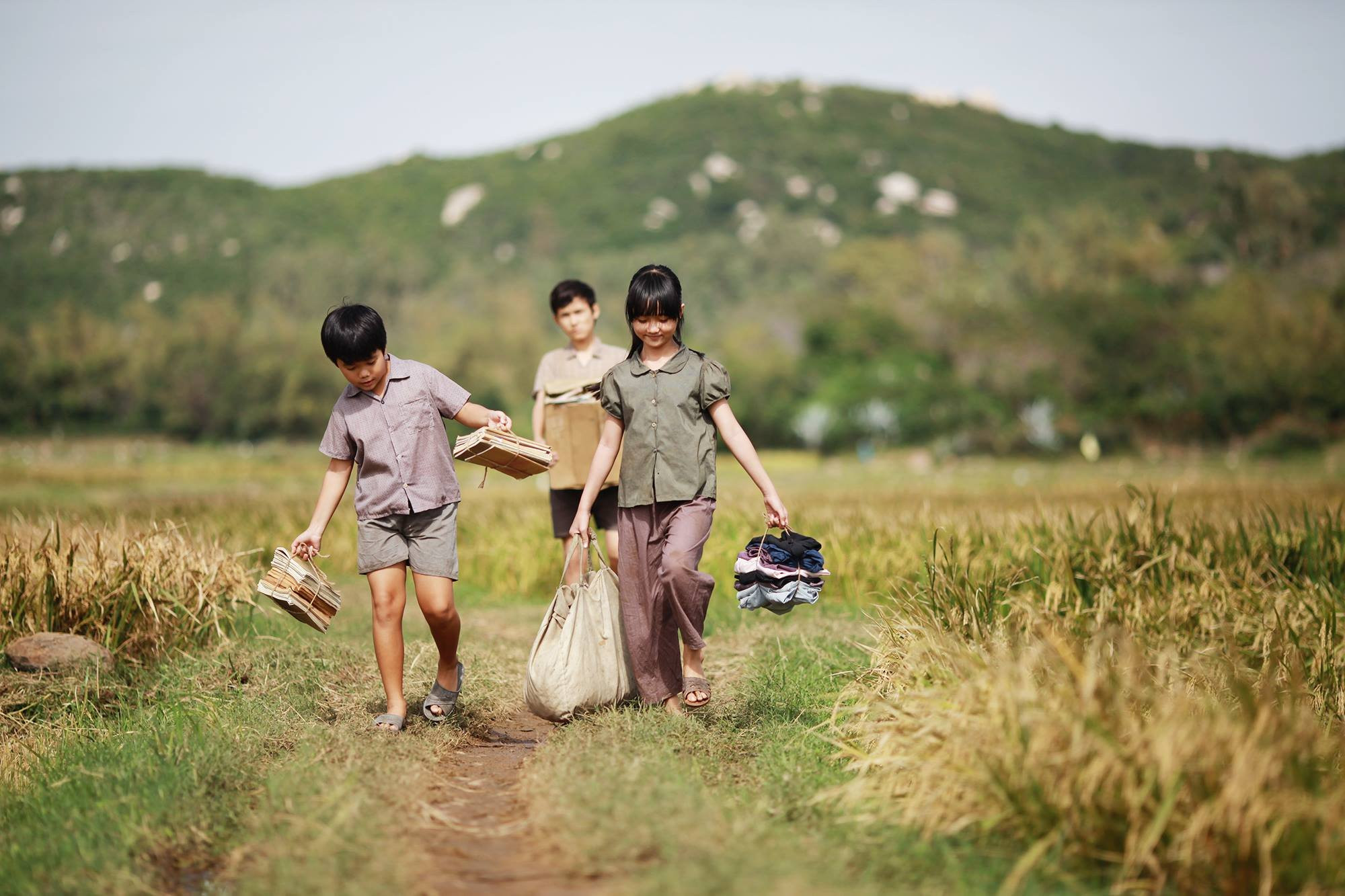 Chiếu lại &apos;Tôi thấy hoa vàng trên cỏ xanh&apos; giữa lúc &apos;Người vợ cuối cùng&apos; gây sốt