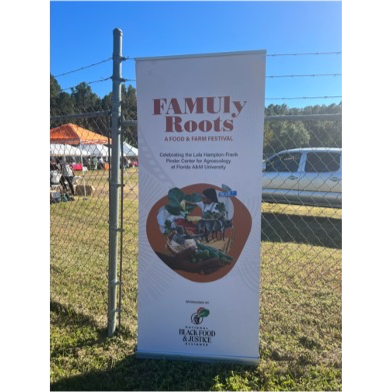 Harvest Festival promotes a healthy lifestyle