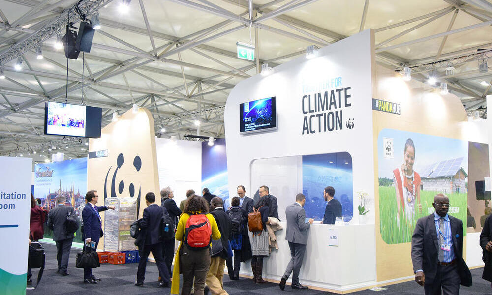 Why COP28 is worth it