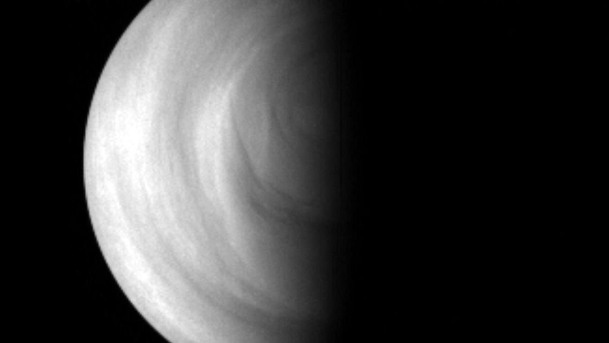 Between Venus’ atmospheric currents, a layer of reactive oxygen