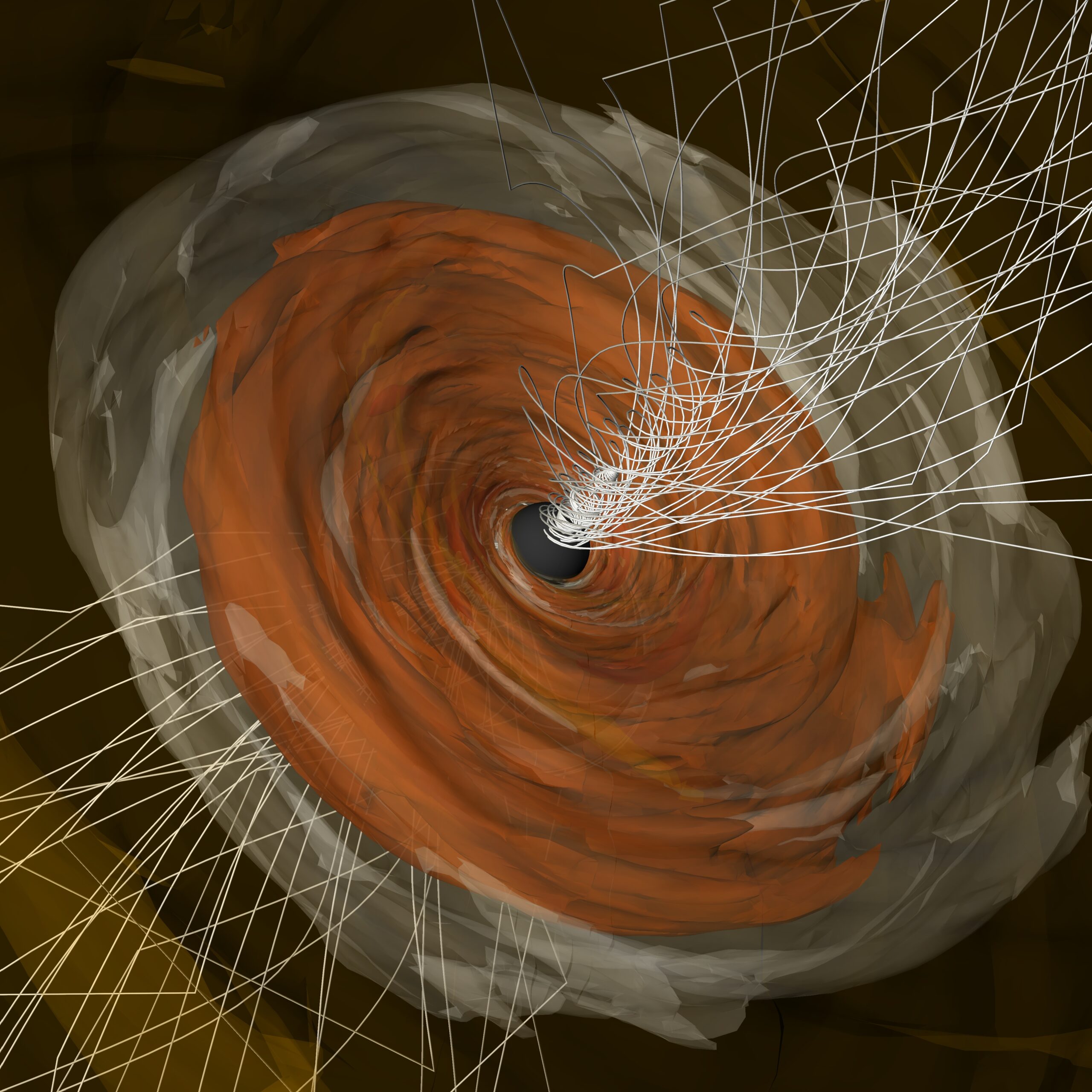 A Supermassive Black Hole’s Strong Magnetic Fields are Revealed in a New Light