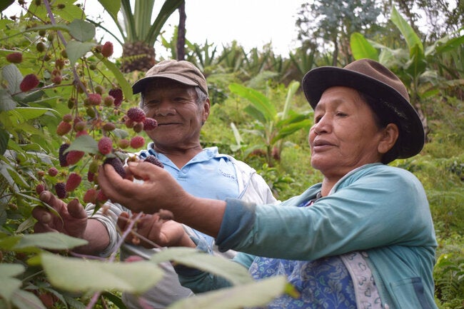 New UN report: 43.2 million people suffer from hunger in Latin America and the Caribbean, and the region has higher levels of overweight and obesity than the global estimate