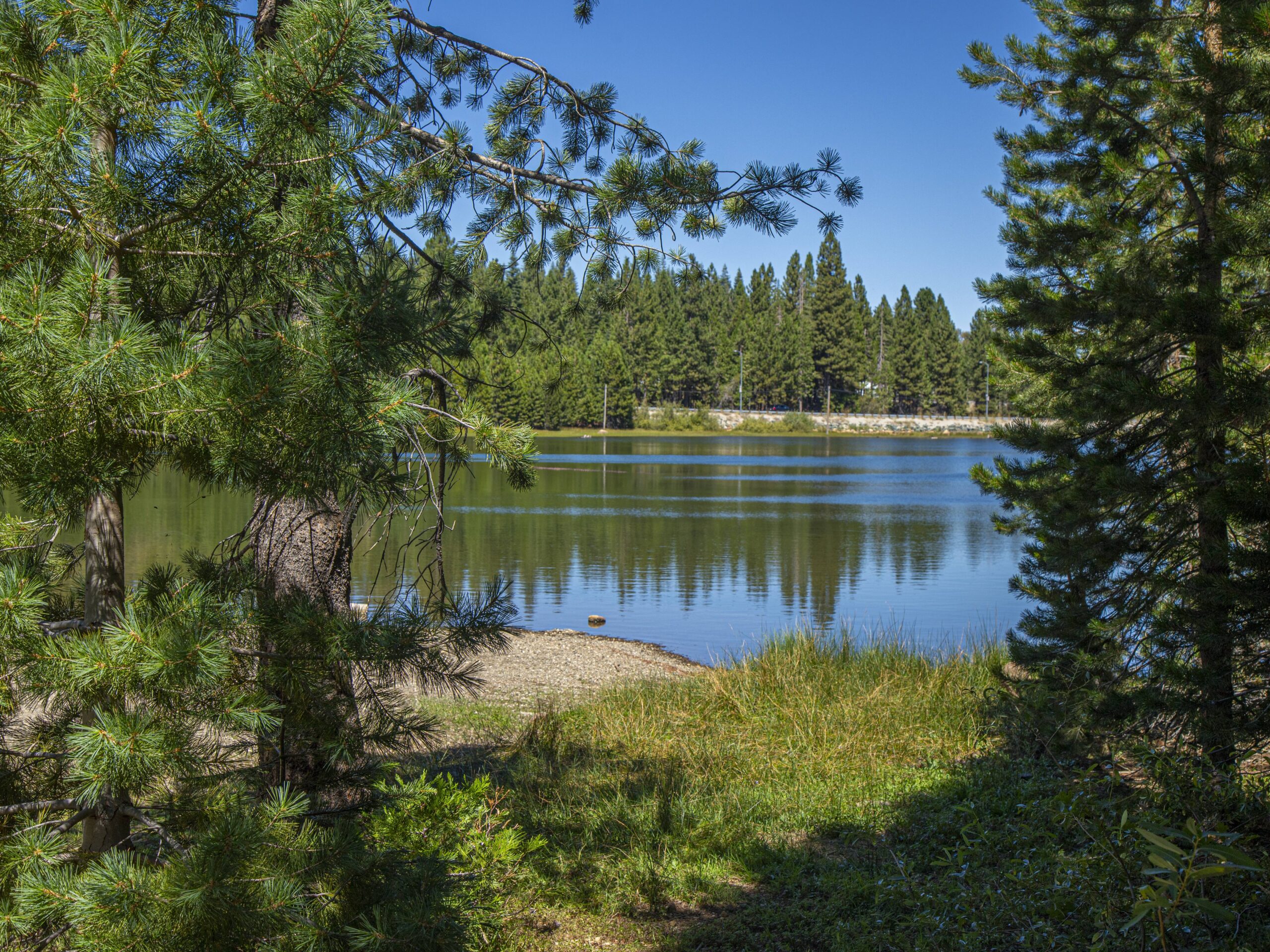 California’s first Black-led conservancy acquires hundreds of acres in Placer County