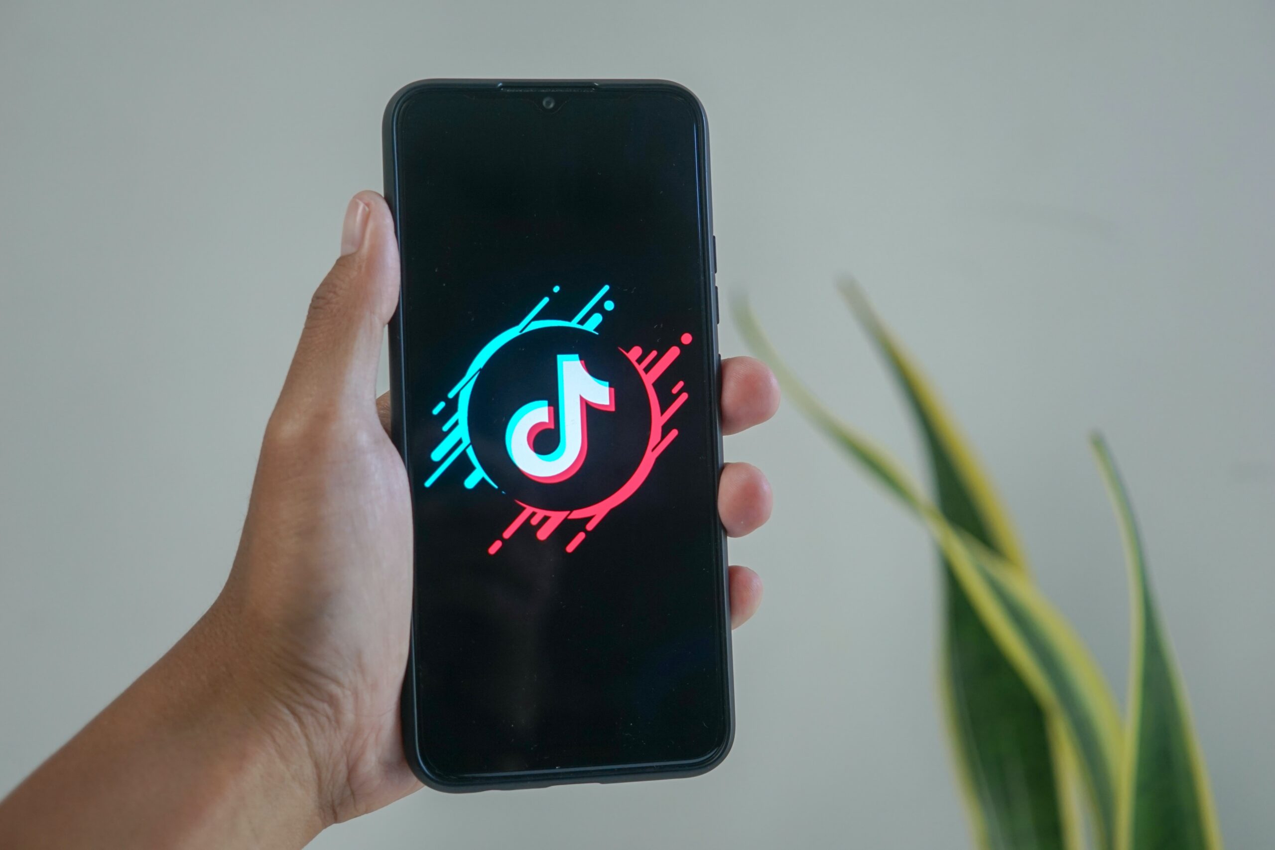 TikTok users love music more than everyone else