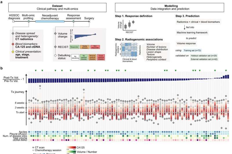 Ovarian cancer: Artificial intelligence predicts therapy responses