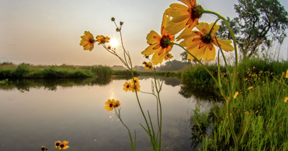 Platte River Prairies Campaign