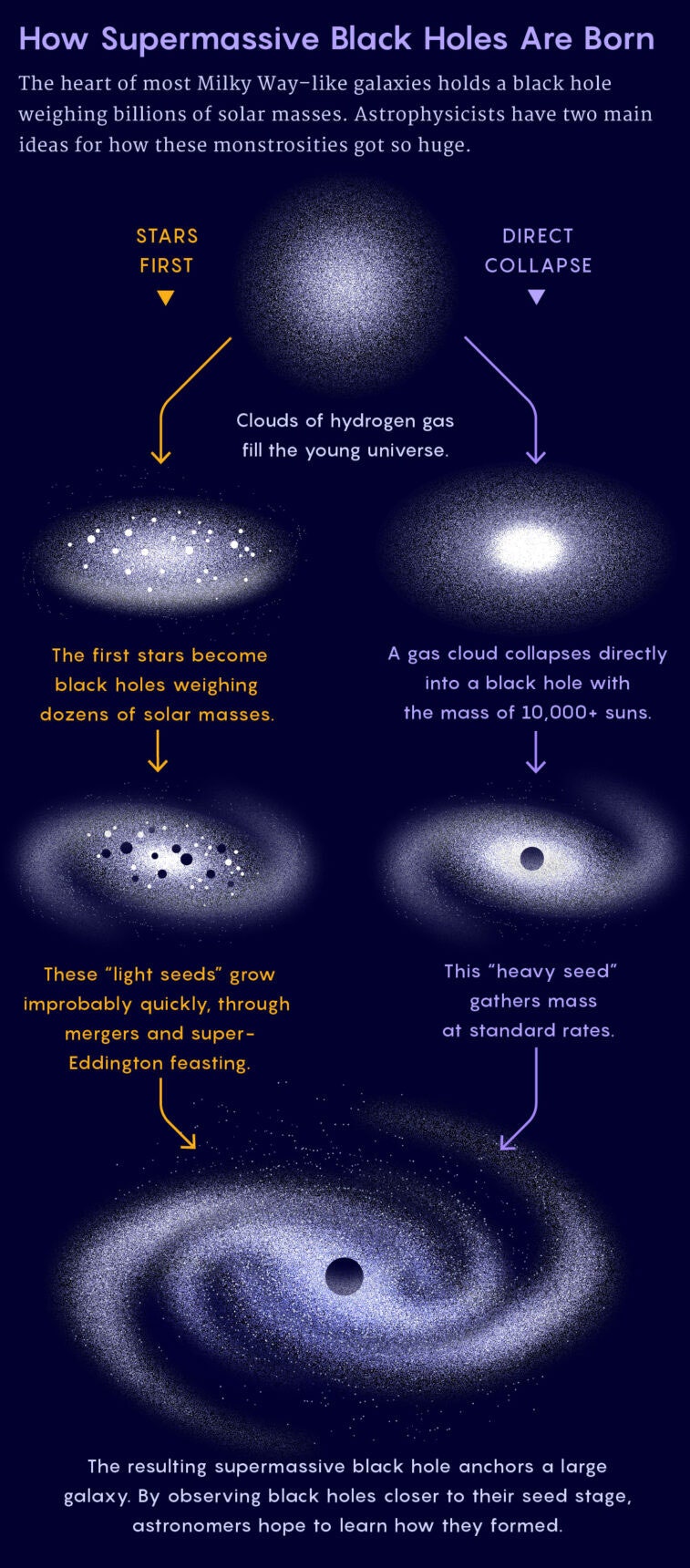 The JWST Has Spotted Giant Black Holes All Over the Early Universe