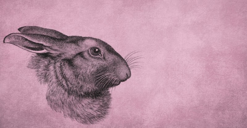 Year of the Rabbit: Why We’re Seeing So Many Bunnies on Books