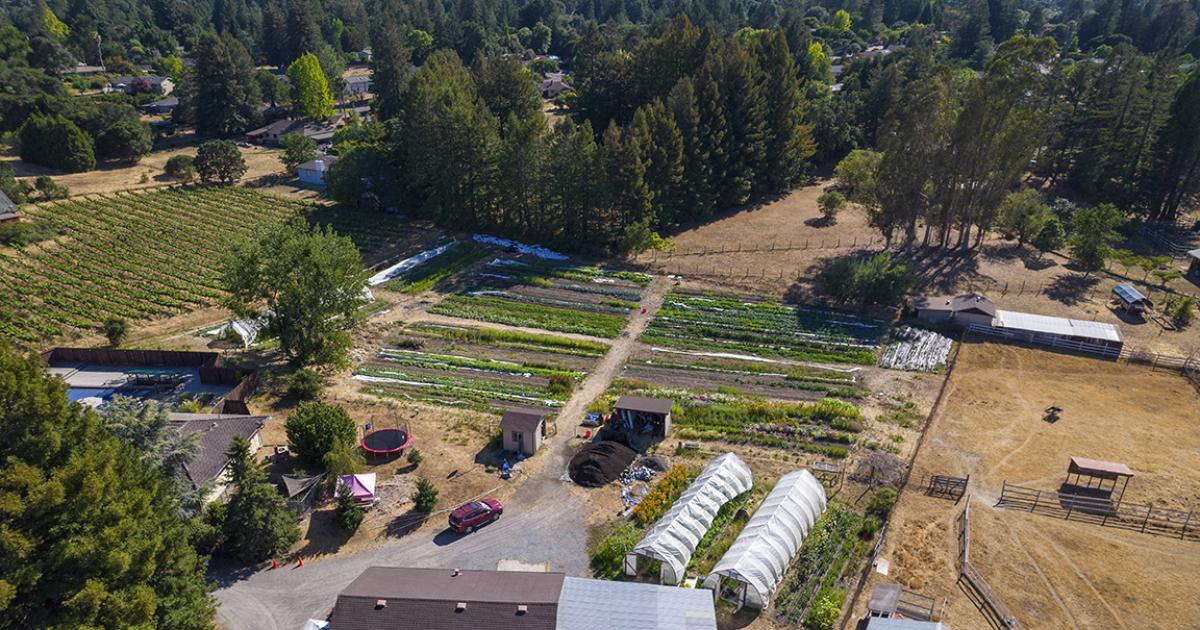 CA’s Transformative Food & Farm Campaign Will Continue in 2024