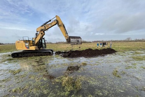 Germany is promoting peatland restoration as part of national climate strategy