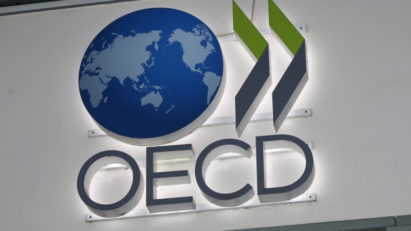 OECD updates definition of Artificial Intelligence ‘to inform EU’s AI Act’