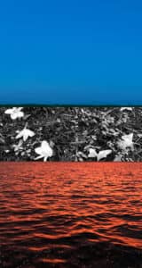 Brush to canvas: News from the visual arts scene