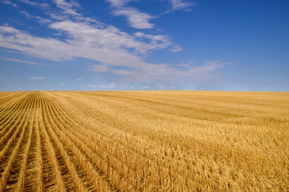 $25 million program aims to boost agri-food innovation in Ontario