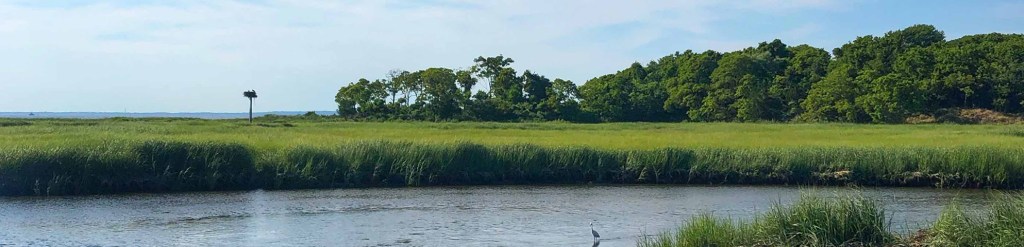 The State We’re In: Protecting the wetlands that help protect New Jersey (New Jersey Conservation Foundation Column)