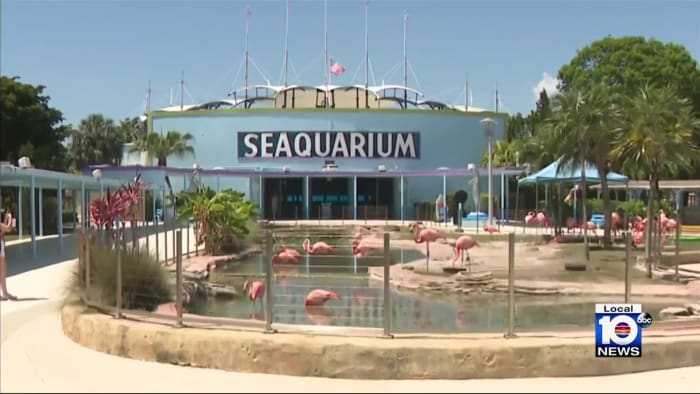 USDA report reveals disturbing details about animal health at Miami Seaquarium