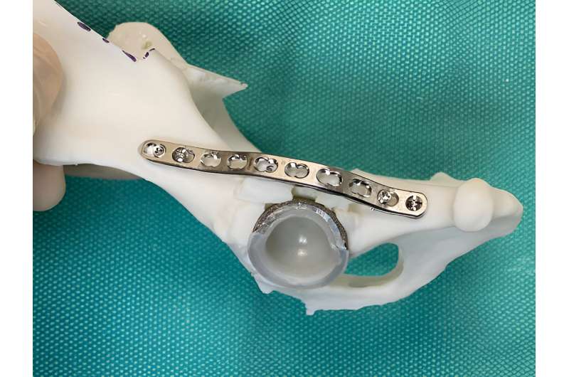 Veterinarians use 3D printing technology to assist in double hip replacement surgery for a dog