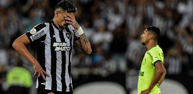 Botafogo e Palmeiras escancara a importância da psicologia no futebol