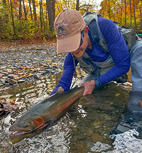 DEC fish release tips