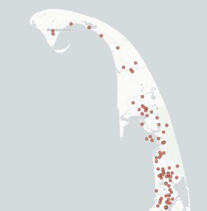 The Unseen Toll of Traffic on the Outer Cape’s Animals