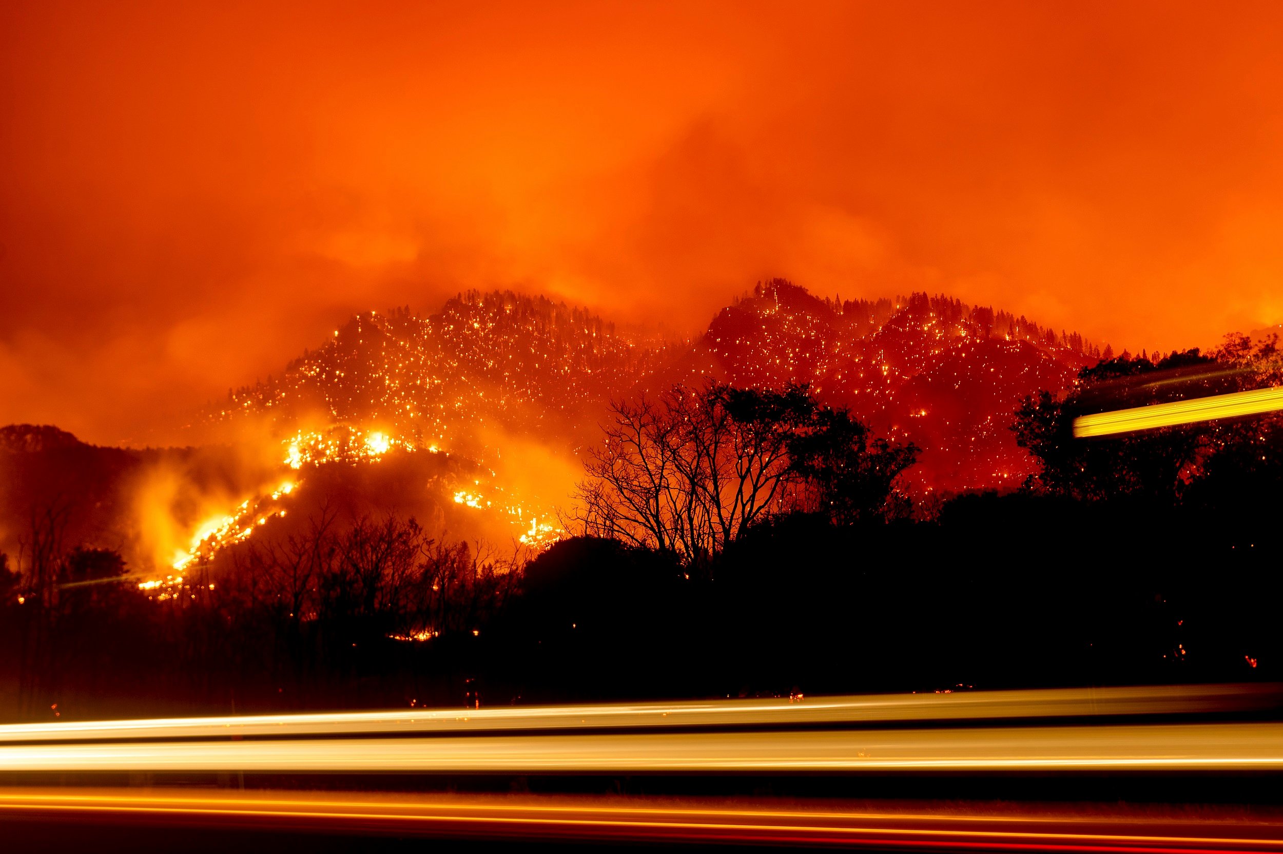 Researchers still hazy on effect of intense wildfires on California wildlife