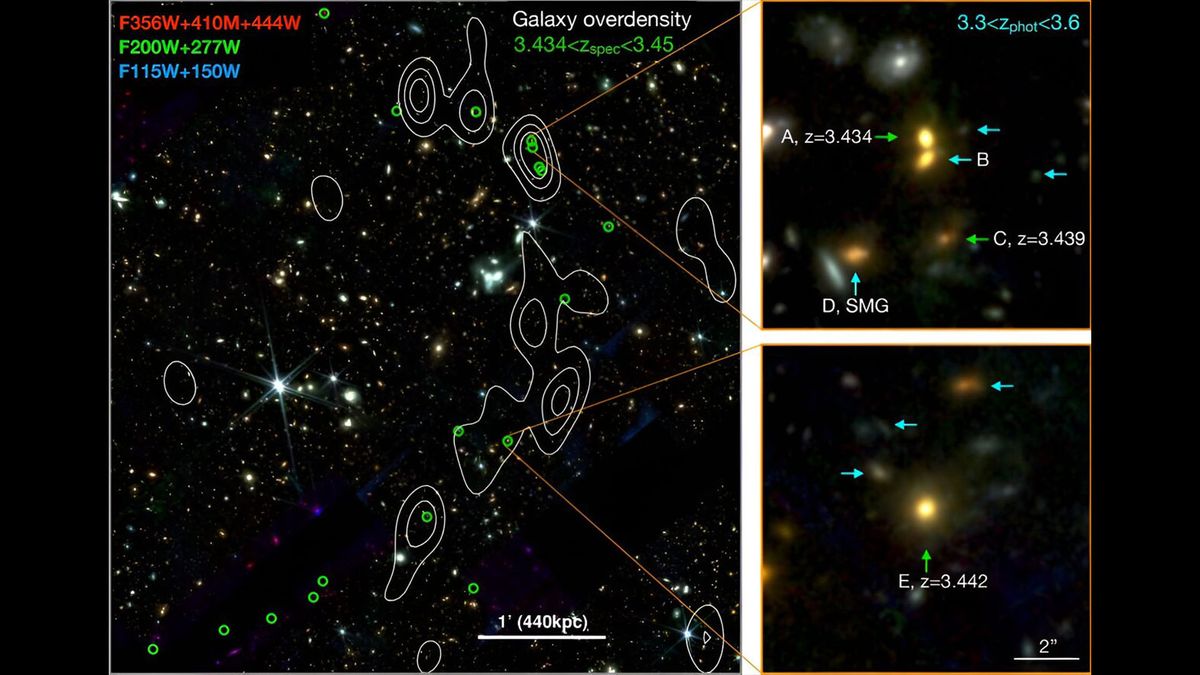 James Webb telescope discovers ‘Cosmic Vine’ of 20 connected galaxies sprawling through the early universe