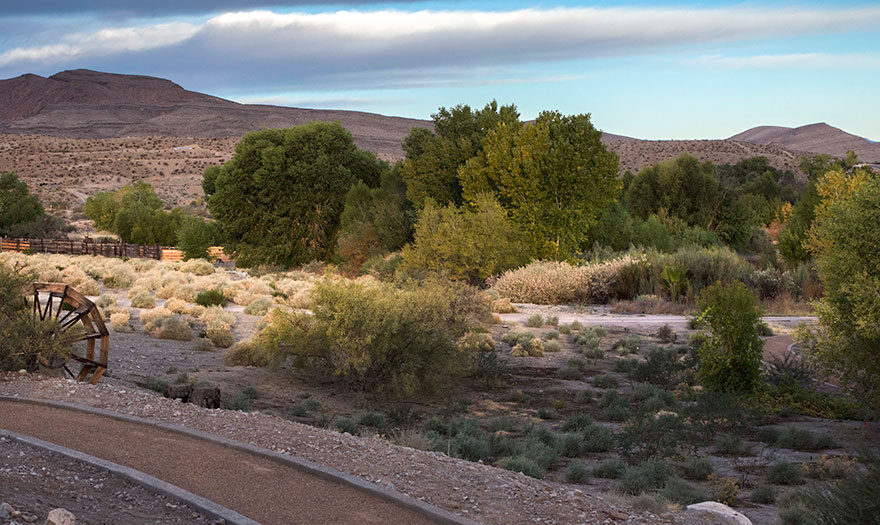 Feds announce new funding for Nevada’s threatened springs