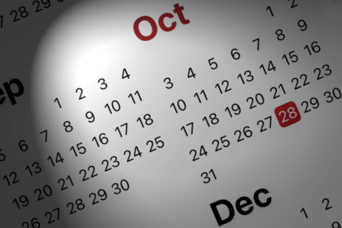 COMMUNITY CALENDAR: Langley events for early November