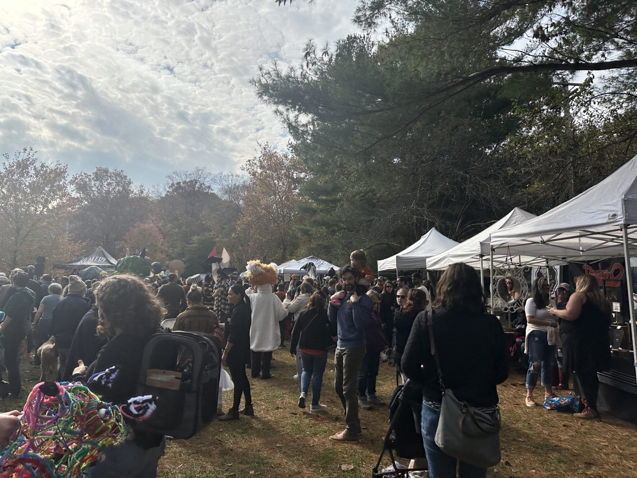 Farmers market and arts market bring food and crafts to Westville