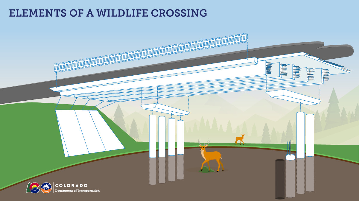 U.S. DOT provides $22M to build wildlife overpass on I-25 in Douglas County