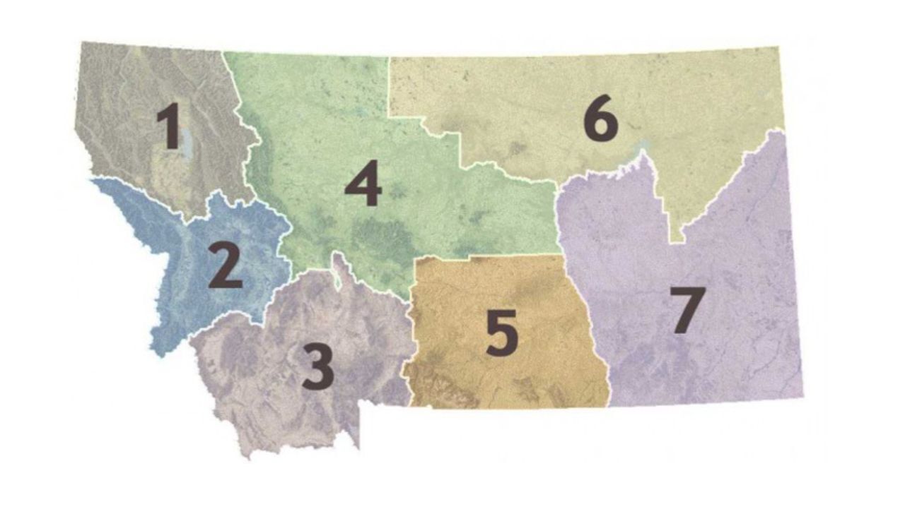 Hunter numbers and big game harvest lower across Region 4