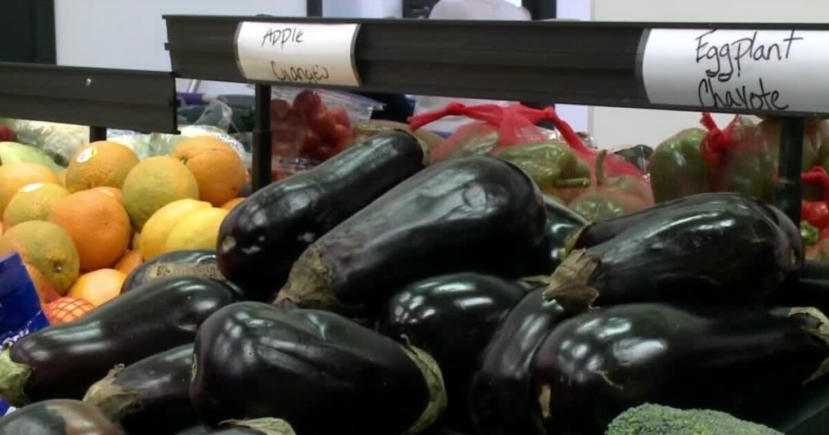 1st free grocery store in Newport News opens; leaders hope it will ease food insecurity