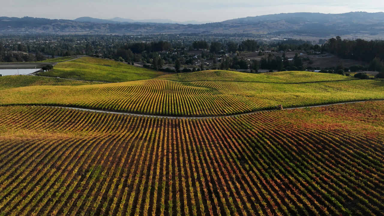 Is urgent reform of world’s food system still a side dish at climate talks?