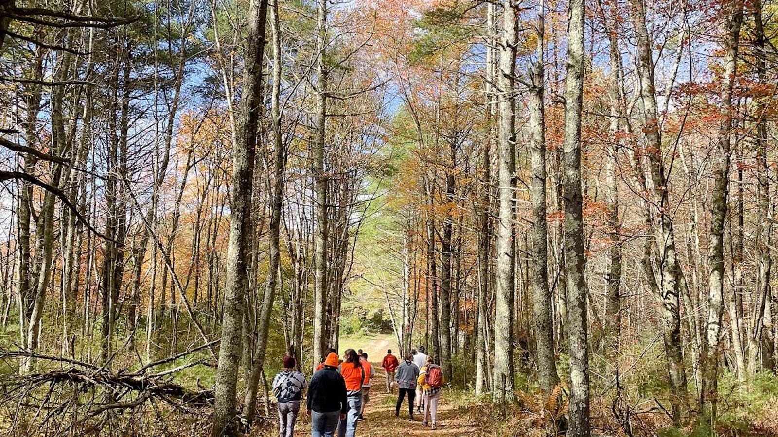 Conservation Commission seeks public comment on state’s ‘most important forests’ definition – The Brown Daily Herald