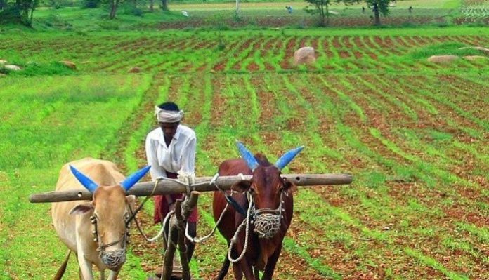 Organic farming: A vision towards healthy Nation