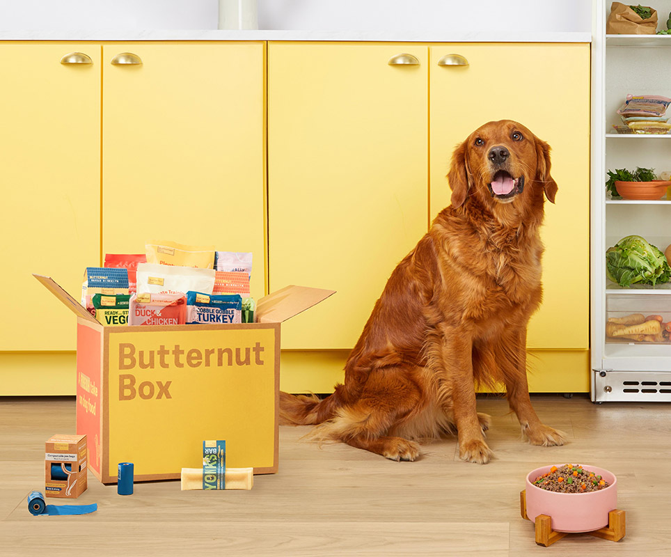 M&A trends, opportunities in the pet nutrition space