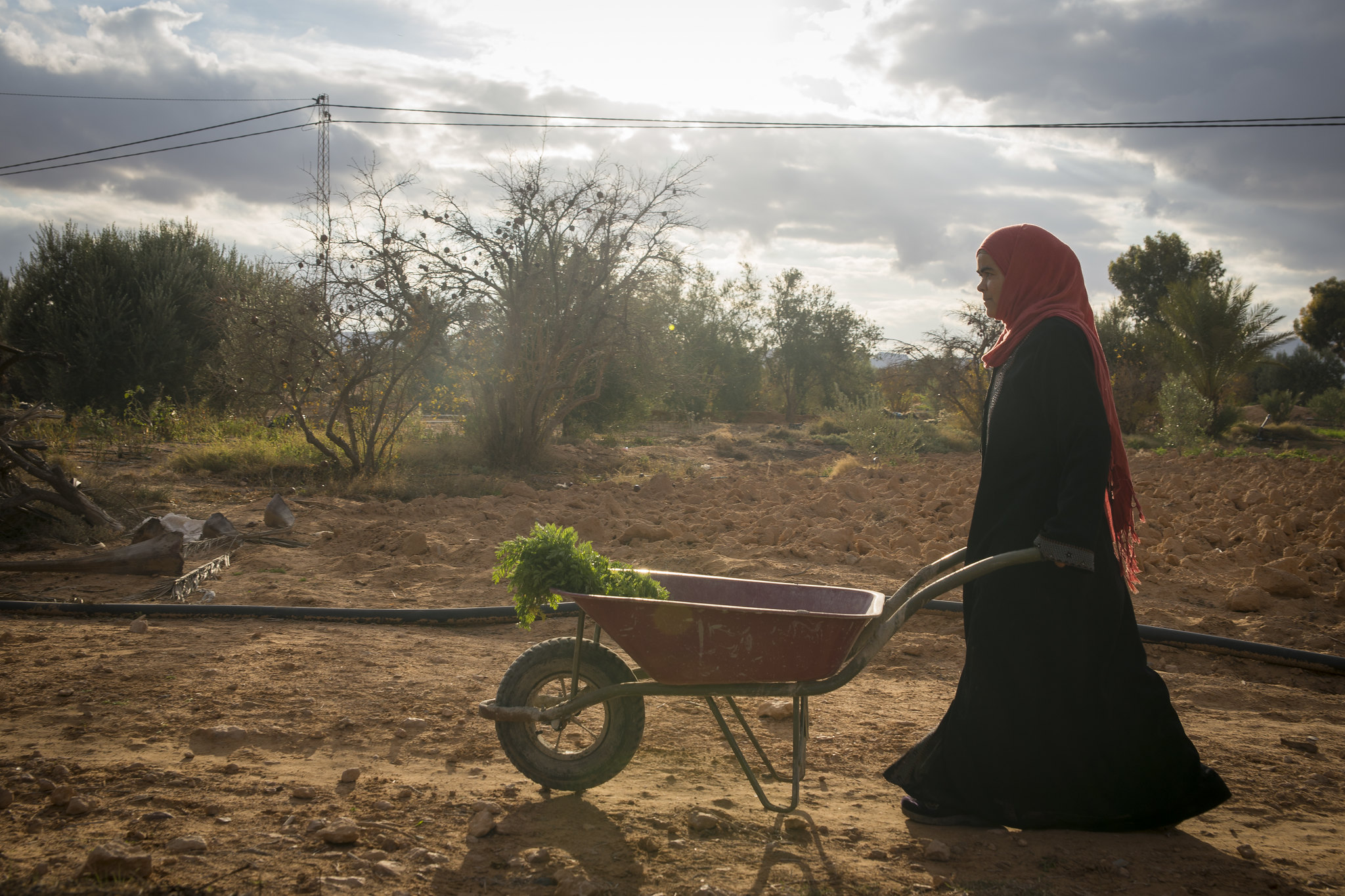 Race to Resilience in action: 10 initiatives helping people and nature thrive in a world of increasing climate pressures