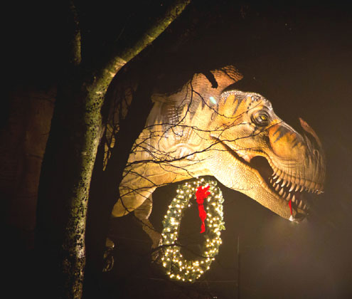 Get into the holiday spirit at the Heard Natural Science Museum & Wildlife Sanctuary this winter