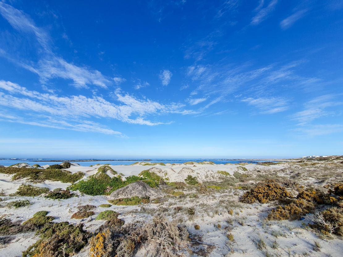 A blind mole that swims through sand has been rediscovered after nearly 100 years