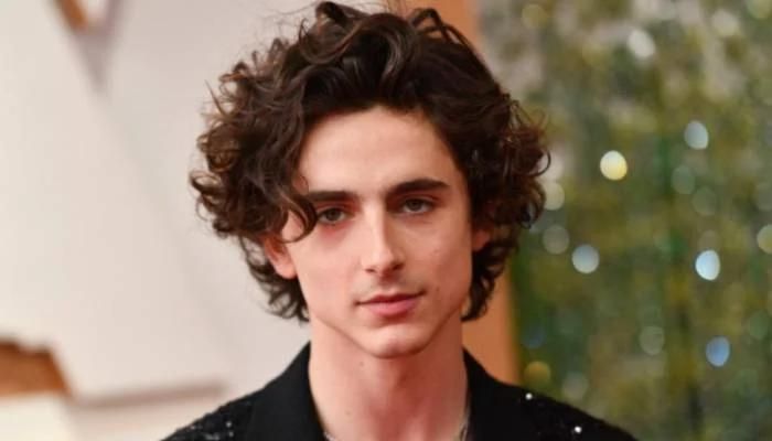 Timothée Chalamet Discusses His Favorite Film, Among Others in Which He Has Appeared