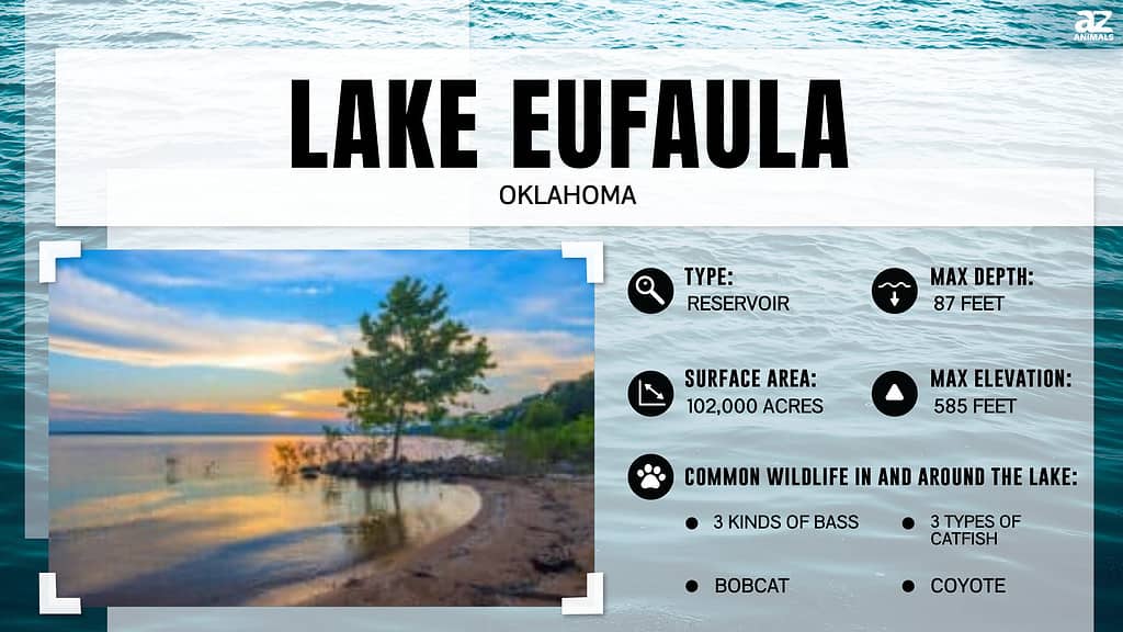 Discover How Deep Lake Eufaula Really Is